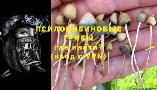 каннабис Арсеньев